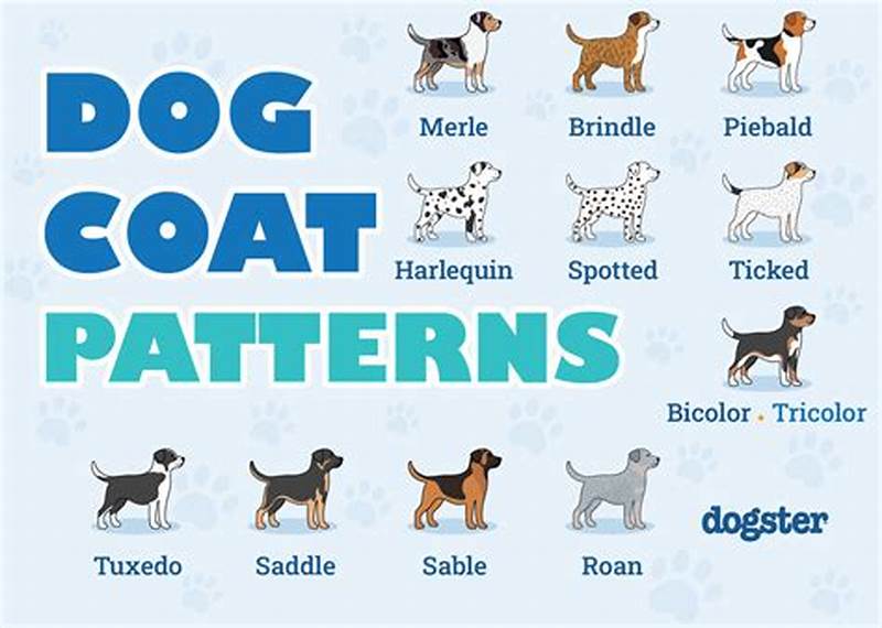 Coat Pattern Dogs