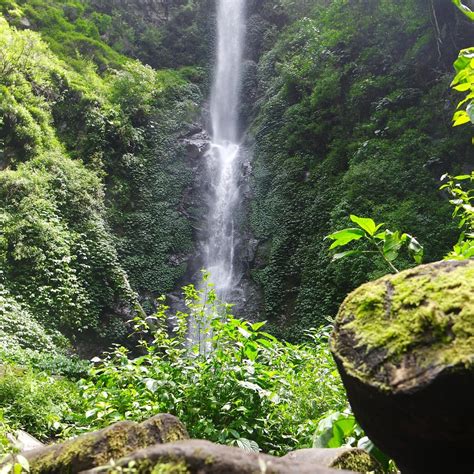 Coban Rais Waterfall