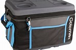 Coleman Collapsible Coolers