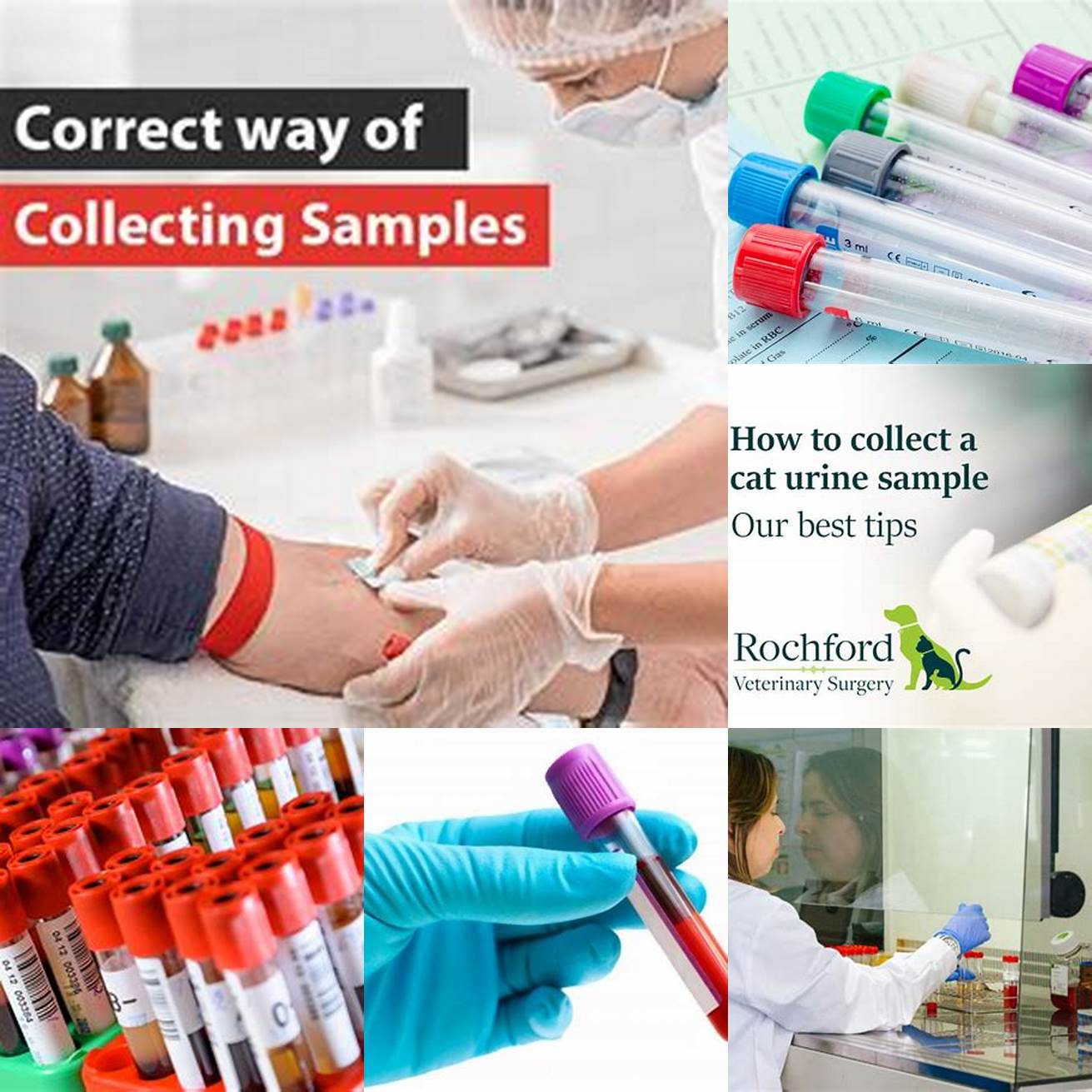 Collect a good sample Collect a good sample to ensure an accurate result