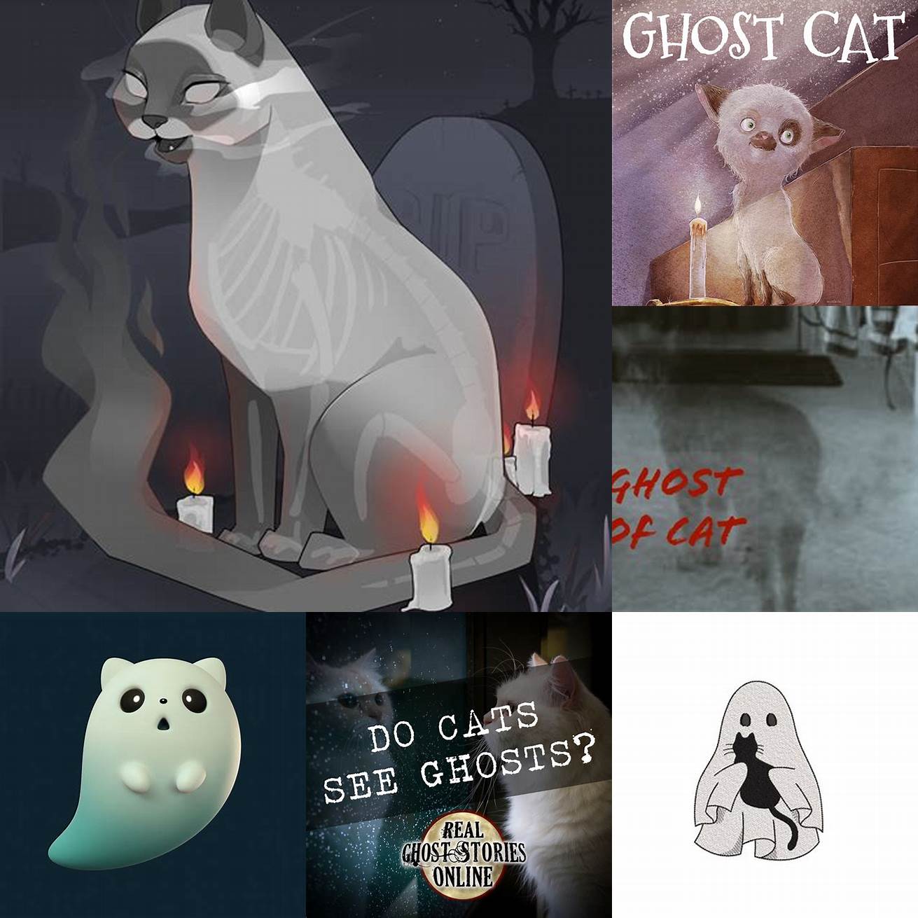 Collecting the Ghost Cat