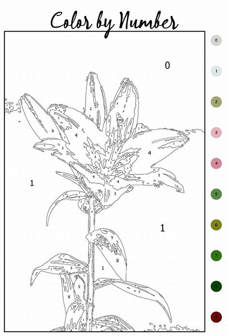 Color By Numbers Coloring Pages