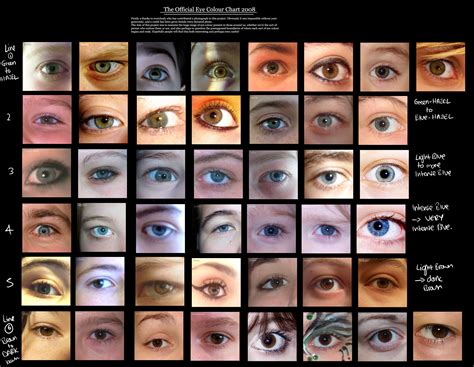 Color Of The Eyes Chart