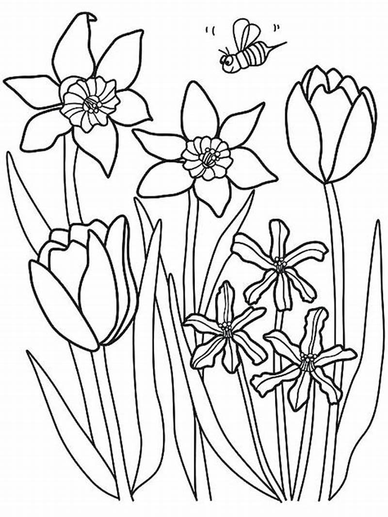 Coloring Pages For Spring Flowers