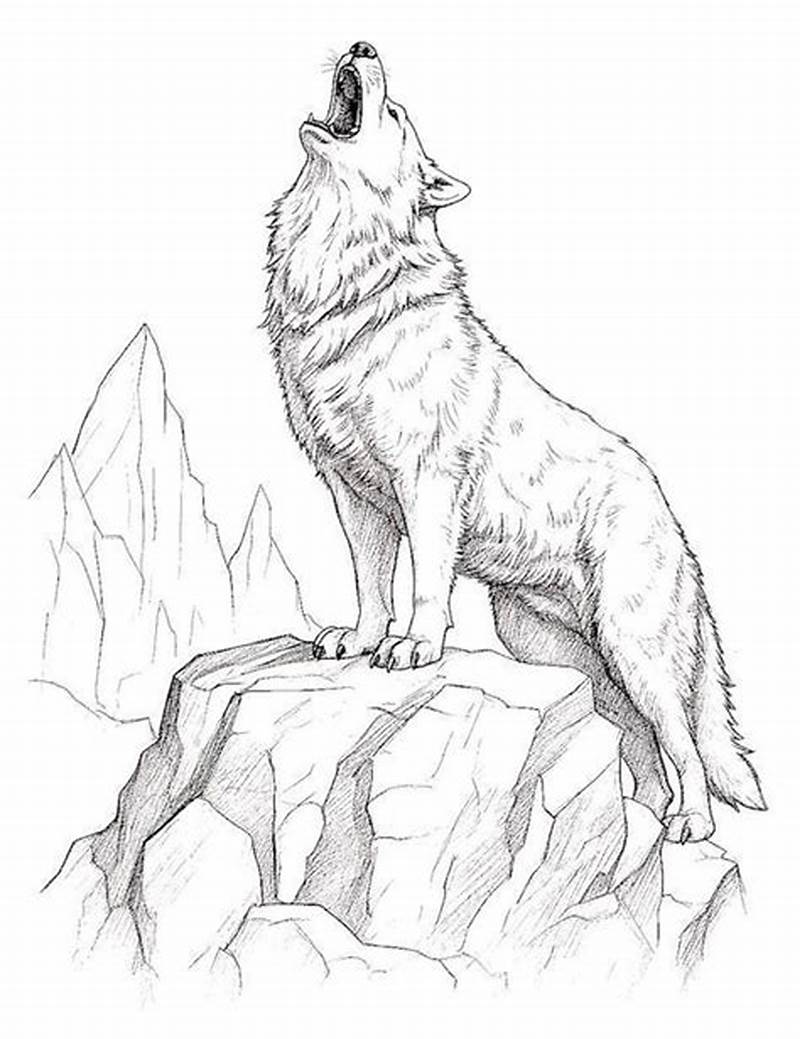 Coloring Pages For Wolves