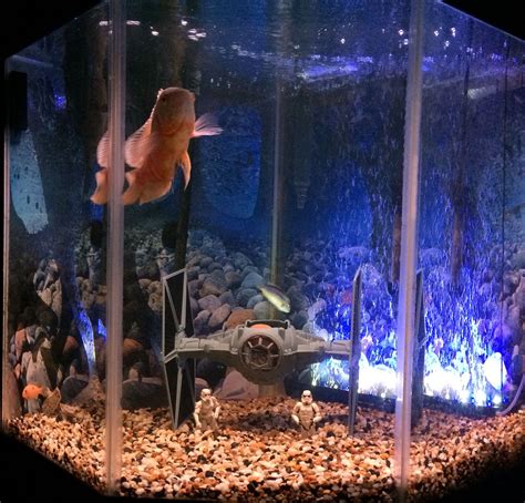 Compatibility with fish species and size star wars fish tank decor
