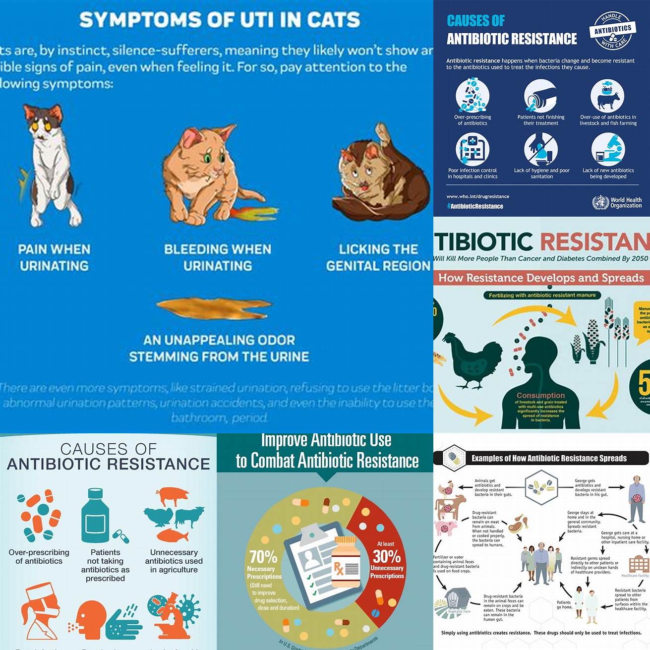 Complete the full course of treatment even if your cat starts to feel better This helps prevent antibiotic resistance and ensures the infection is fully treated