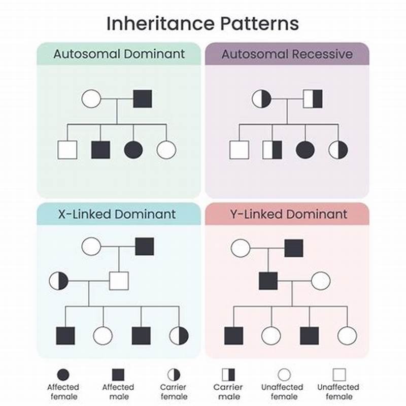 Complex Pattern Of Inheritance