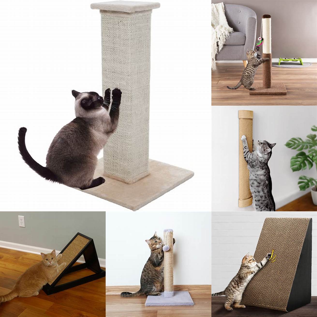 Consider using a scratch post or pad to redirect your cats scratching behavior