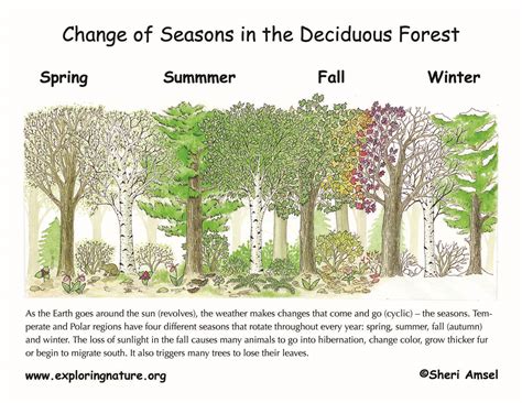 Consider Seasonal Changes