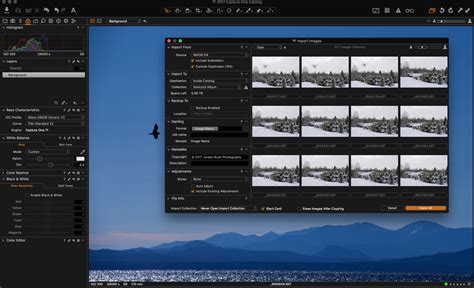 Consilidate Catalog In Capture One 11