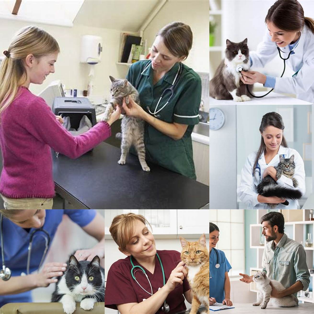 Consult with a veterinarian
