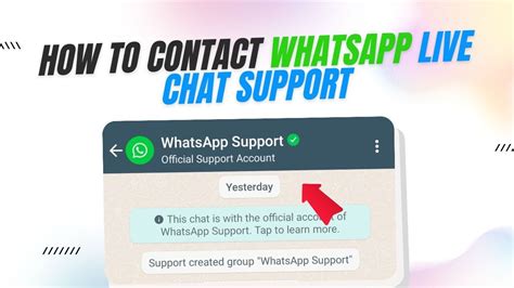 Contact WhatsApp Support