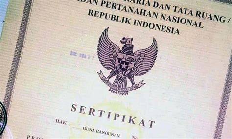 Contoh SHGB