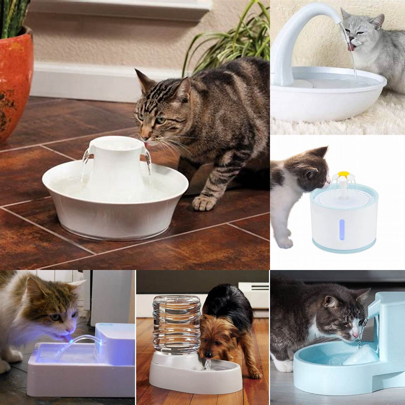 Convenient and time-saving A water fountain can save you time and effort by providing a continuous supply of water for your pets