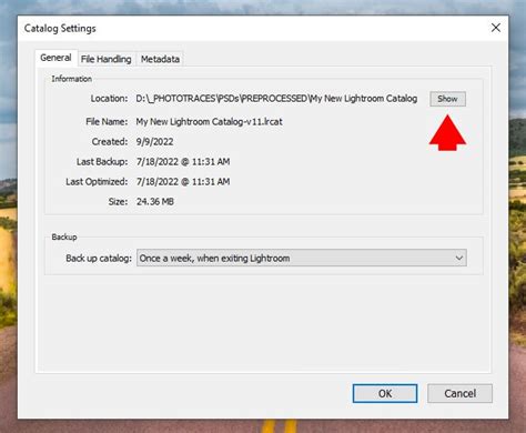 Copied Lightroom Catalog Will Not Open