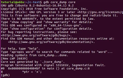 Core dump file analysis duplicate