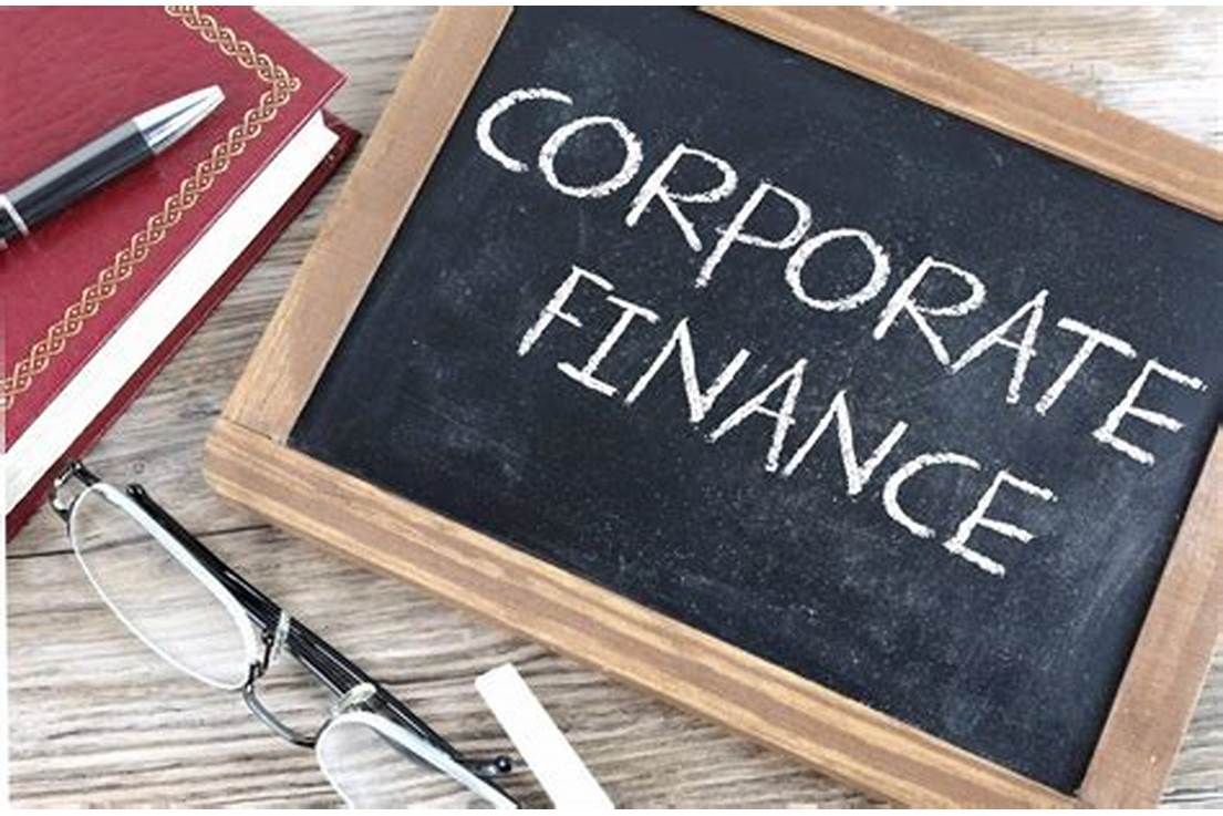 Corporate Finance Understanding of Your Company