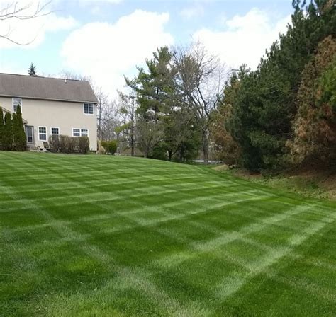 Cost Effective Lawn Care Westerville Ohio