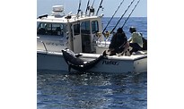 Cost of Tuna Fishing Boat