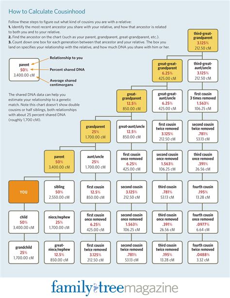 Cousin Generation Chart