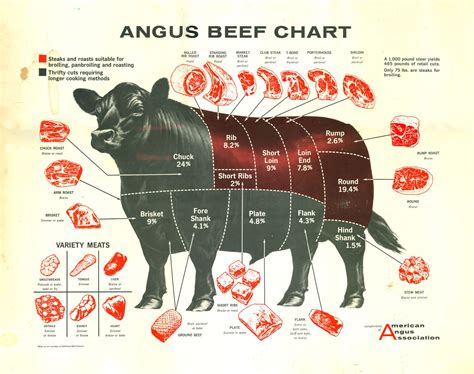 Cow Meat Cut Chart
