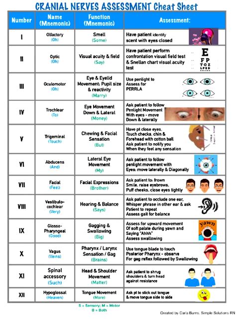 Cranial Nerve Assessment Chart
