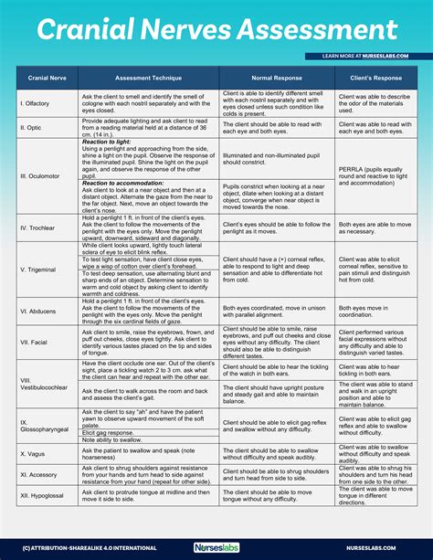 Cranial Nerve Examination Chart