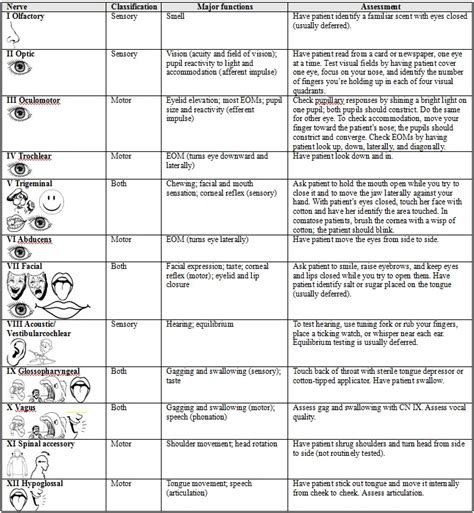 Cranial Nerve Testing Chart