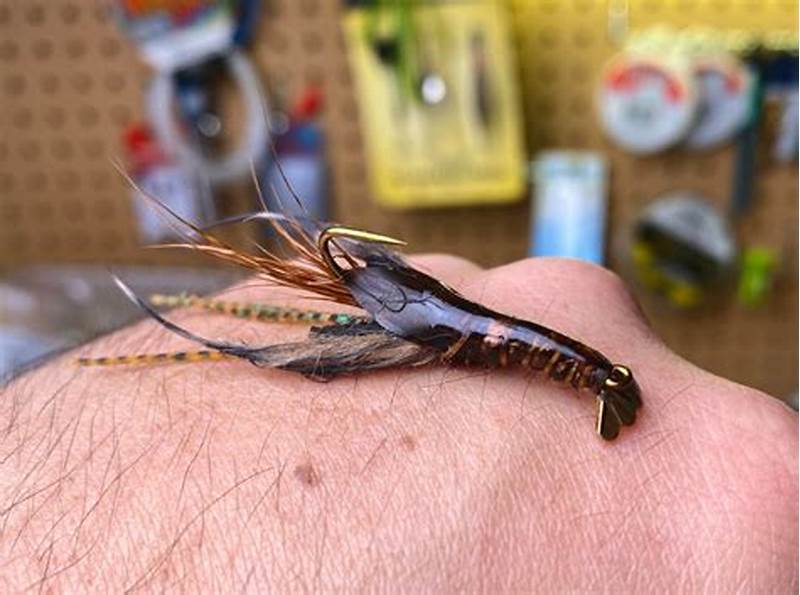Crawfish Pattern Fly
