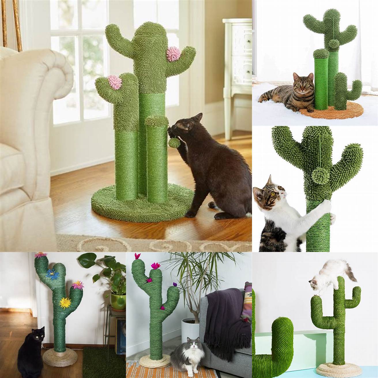 Create a cozy corner for your cat by pairing the Cactus Cat Scratching Post with a comfy bed or blanket