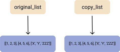 Creating a copy of an object in C duplicate
