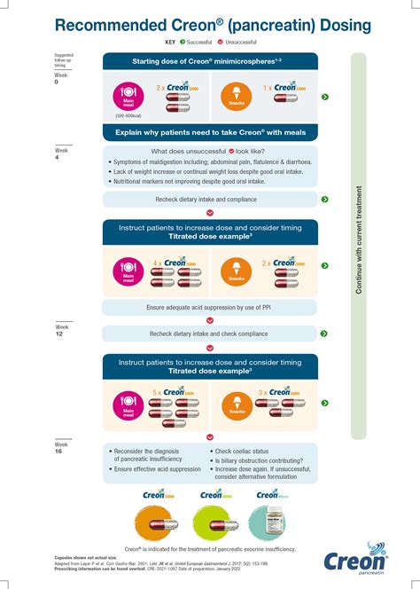 Creon Dosage Chart