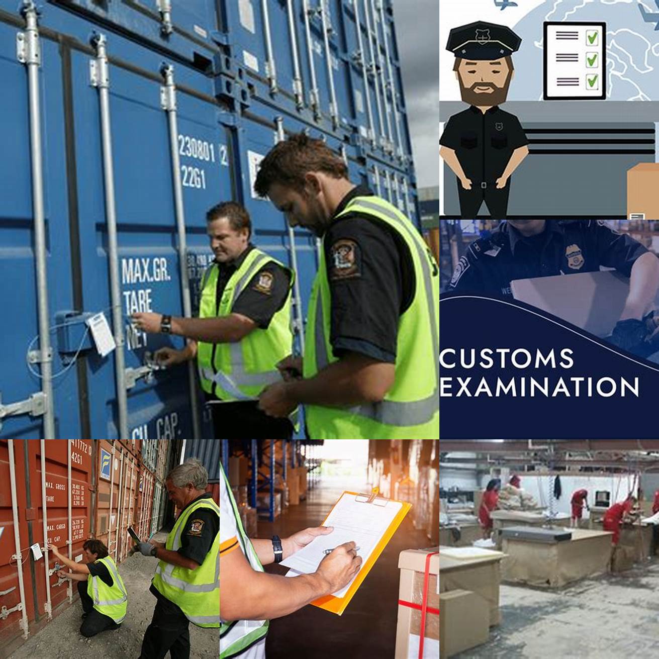 Customs Inspection