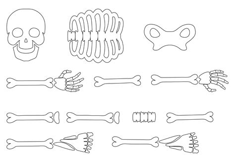 Cut Out Printable Skeleton Bones
