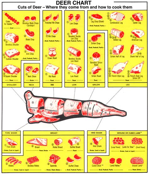 Cuts Of Deer Chart