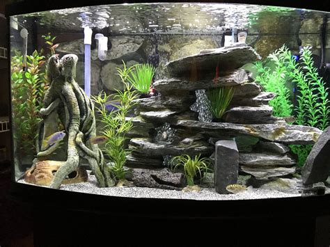 DIY Fish Tank Decorations