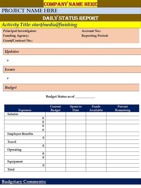 Daily Status Report Template Word