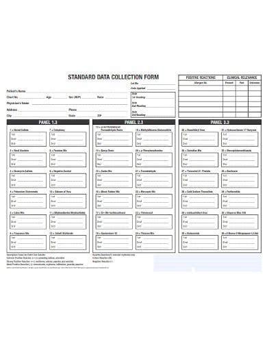 Data Collection Form Template