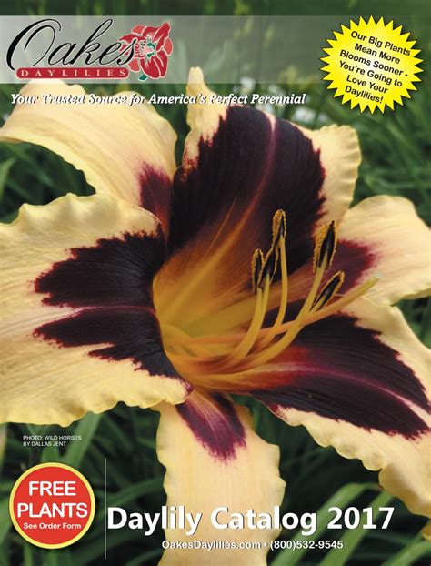 Daylily Catalogs Free