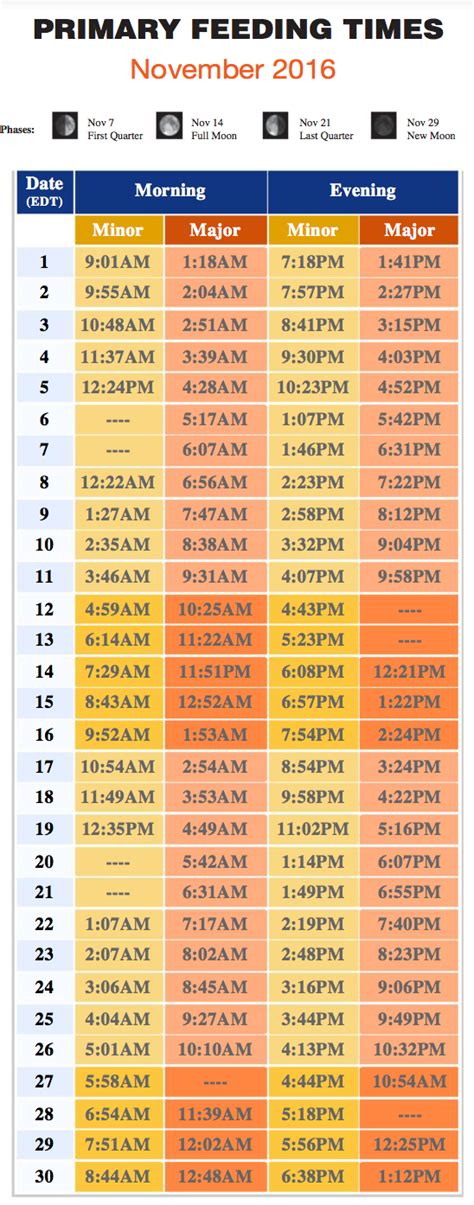 Deer Feeding Time Chart