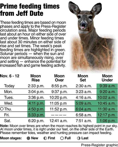 Deer Feeding Times Chart