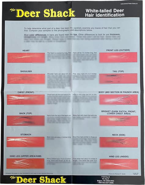 Deer Hair Identification Chart
