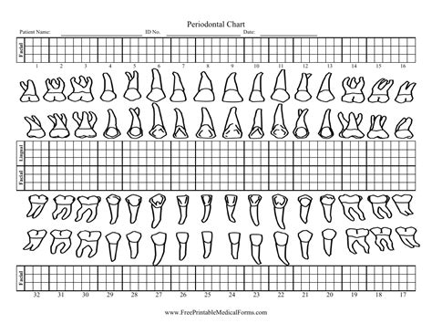 Dental Paper Chart