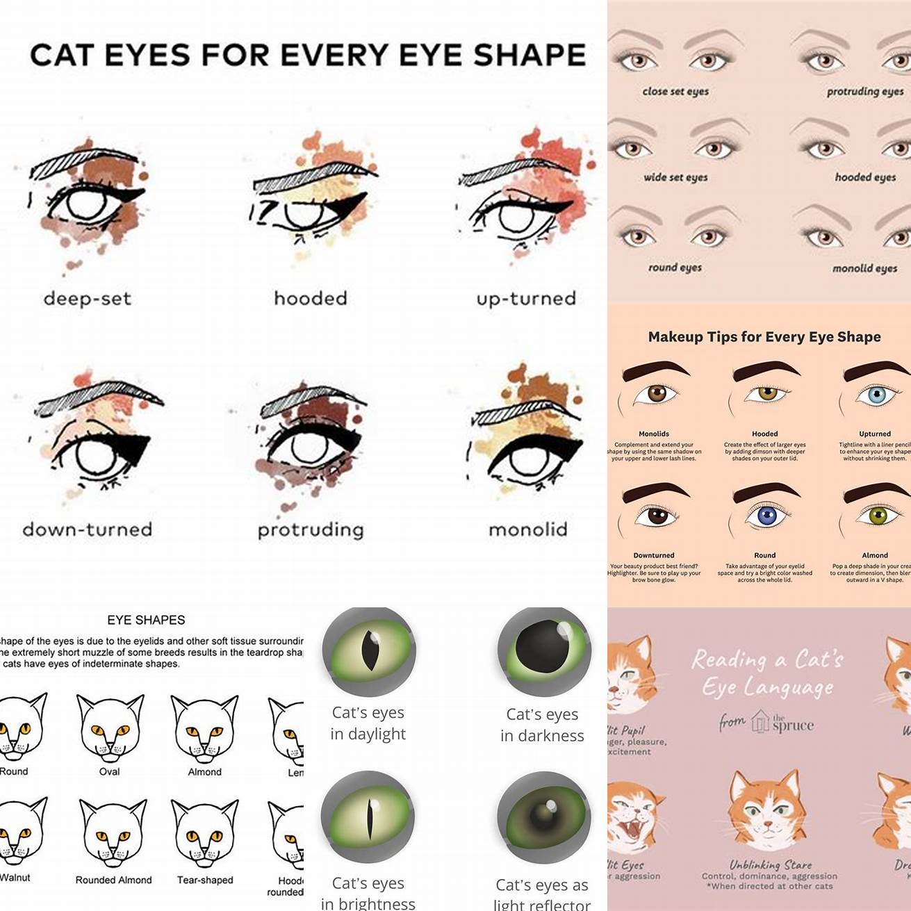 Determine your eye shape