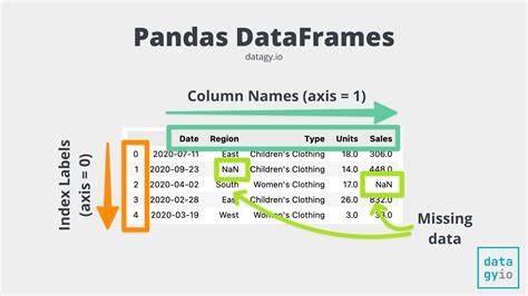 Determine the data types of a data frames columns