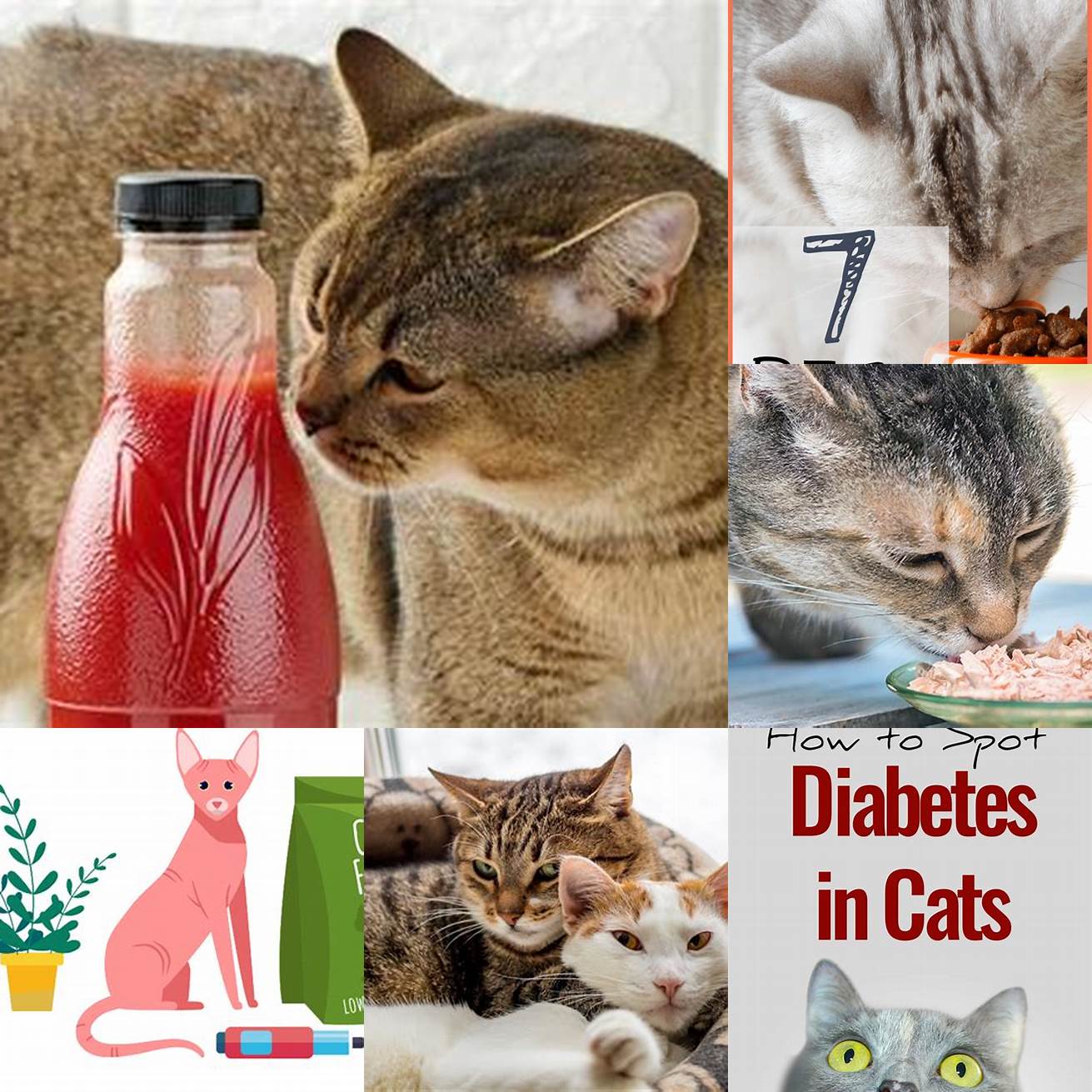 Diabetes Feeding ketchup to cats can increase their risk of developing diabetes due to the high sugar content
