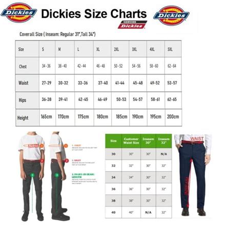 Dickies Coat Size Chart