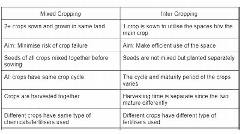 Difference Between Crop Rotation And Cropping Pattern