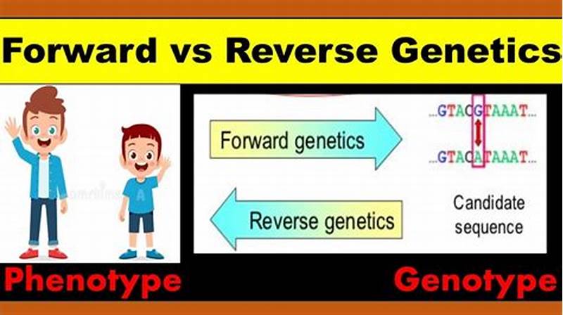 Difference Between Forward And Reverse Shift Pattern
